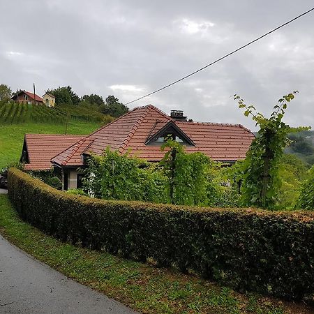 Wine & Nature & Tour Zgornji Leskovec 外观 照片